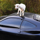Illustration for article titled Damn Goats, Always Getting Their Hoof-marks On My Ferrari